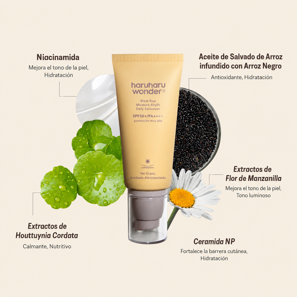 Black Rice Moisture Airyfit Daily Sunscreen SPF50+ PA++++ 50ml